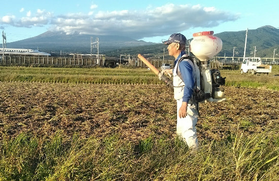 まっちゃんのふじ山れんげ米の生産者、仁藤正敏