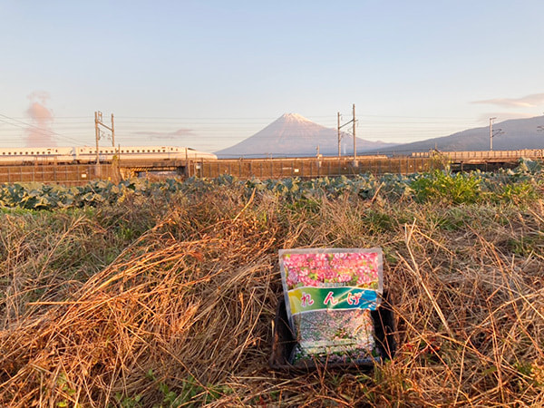 まっちゃんのふじ山れんげ米で使用するれんげの種のイメージ画像